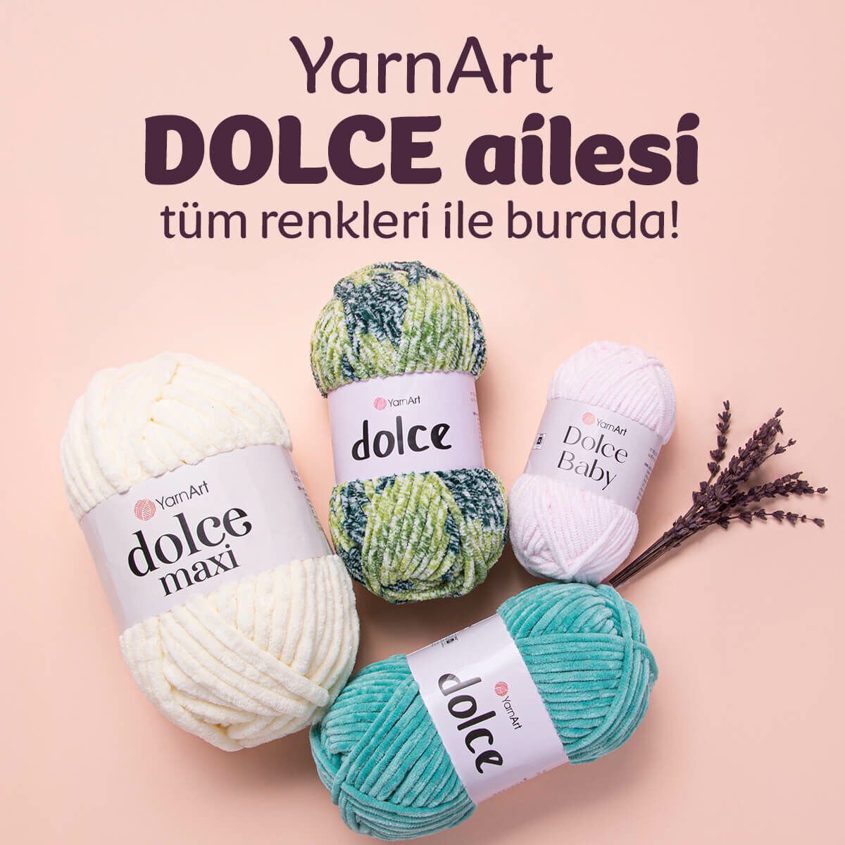 DOLCELER